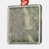 Colorado Silbernes Ornament (Links)