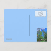 Colorado Skilift Postkarte (Rückseite)