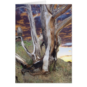 Colorado-Sonnenuntergang