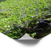 Colorado Splendor Print Poster (Ecke)