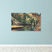 Colorado Springs, CO - Forellen Leinwanddruck (Insitu (Holzboden))