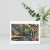 Colorado Springs, CO - Forellen Postkarte (Stehend Vorderseite)
