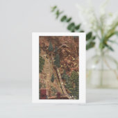 Colorado Springs, CO Postkarte (Stehend Vorderseite)