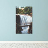 Colorado Springs, CO - Ramona, Erster von 7 Leinwanddruck (Insitu (Holzboden))