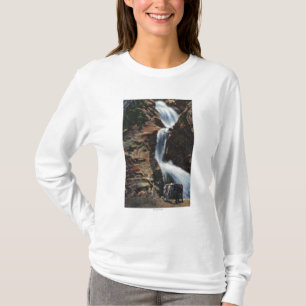 Colorado Springs, Co - senken Sie drei von Fall T-Shirt