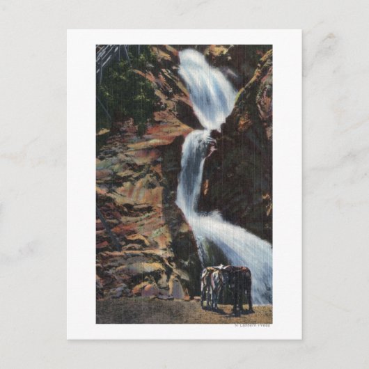 Colorado Springs, CO - Untere Drei Wasserfälle Postkarte (Vorderseite)