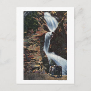 Colorado Springs, CO - Untere Drei Wasserfälle Postkarte