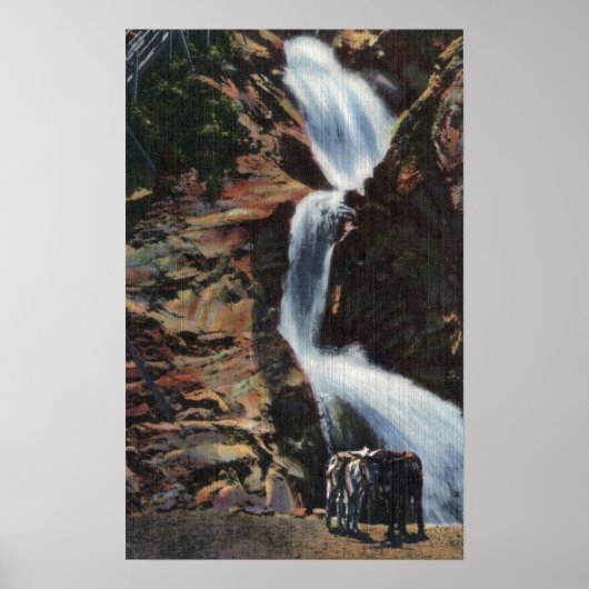 Colorado Springs, CO - Unterer Dreier Herbst Poster (Vorne)