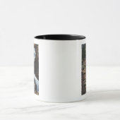 Colorado Springs, CO - Unterer Dreier Herbst Tasse (Zentrum)