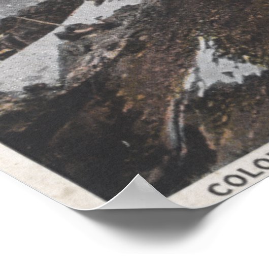 Colorado Springs, Colorado 4 Poster (Ecke)