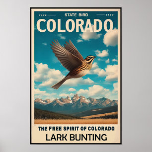 Colorado Staat Bird - Lark Bunting Vintag Poster