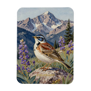 Colorado Staatsvogel und Columbine-Berg Magnet