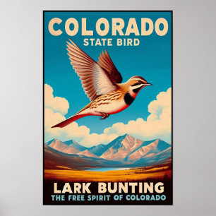 Colorado State Bird - Lark Bunting Vintage auf Deu Poster