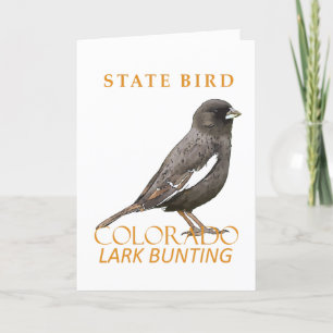 Colorado-Territorialvogel Die Lerchenstärling Feiertagskarte