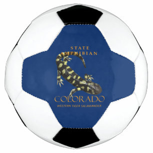 Colorado-Territorium Amphibie Der gestreifte Tiger Fußball