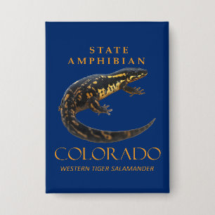 Colorado-Territorium Amphibie Der westliche Tiger Button