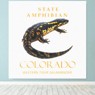Colorado-Territorium Amphibie Der westliche Tiger Leinwanddruck