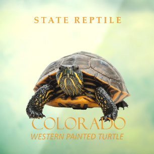 Colorado-Territorium-Reptil-Westliche-Gemalte-Schi Fensteraufkleber