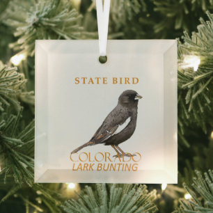 Colorado-Territorium-Vogel The Lark Bunting Ornament Aus Glas