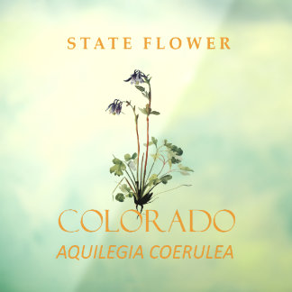Colorado-Territoriumsblume Blaue Aquilegia coerule Fensteraufkleber