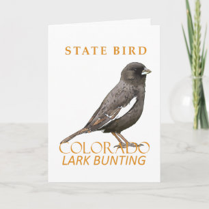 Colorado-Territoriumsvogel Die Lerchenammer Feiertagskarte