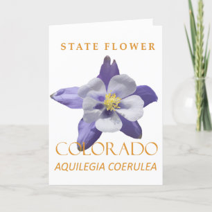 Colorado Territory Blume Blue Aquilegia coerulea Feiertagskarte