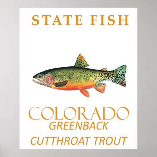 Colorado Territory Fische Die Greenback-Forelle Poster (Vorne)