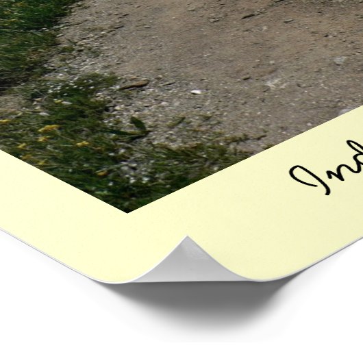 Colorado Tundra Poster (Ecke)