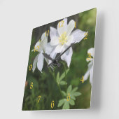Colorado weißes Columbine nummeriert Quadratische Wanduhr (Winkel)