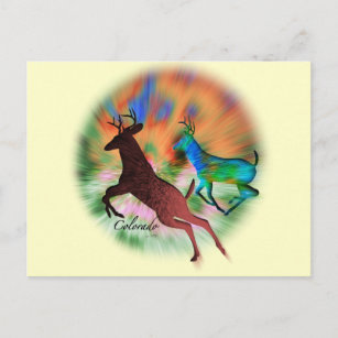Colorado wild postkarte