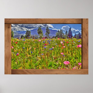 Colorado Wildblume Poster