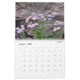 Colorado-Wildblumen Kalender
