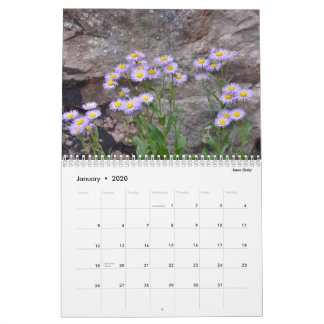 Colorado-Wildblumen Kalender