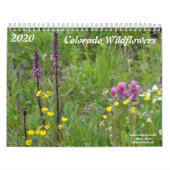 Colorado-Wildblumen Kalender (Titelbild)