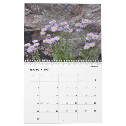 Colorado-Wildblumen Kalender (Jan 2027)