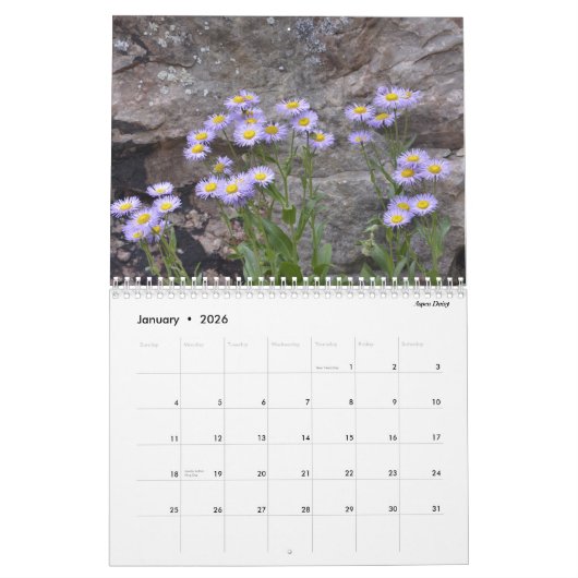 Colorado-Wildblumen Kalender (Jan 2026)