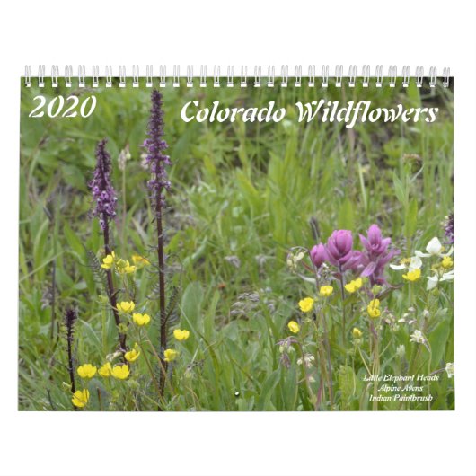 Colorado-Wildblumen Kalender (Titelbild)