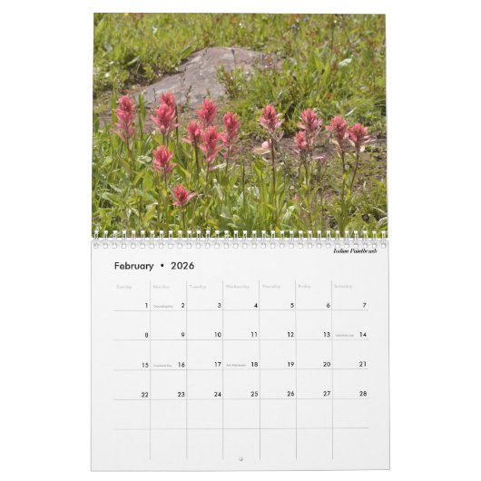 Colorado-Wildblumen Kalender (Feb 2026)