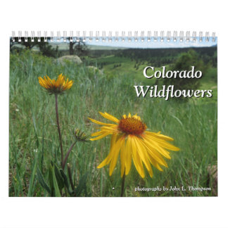 Colorado-Wildblumen Kalender