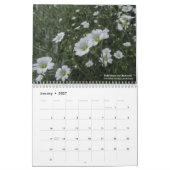 Colorado-Wildblumen Kalender (Jan 2027)