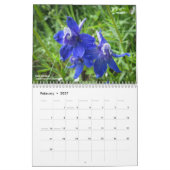 Colorado-Wildblumen Kalender (Feb 2027)