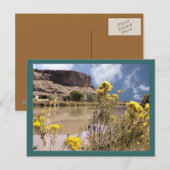 Colorado Wildblumen Postkarte (Vorne/Hinten)