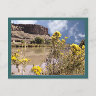 Colorado Wildblumen Postkarte