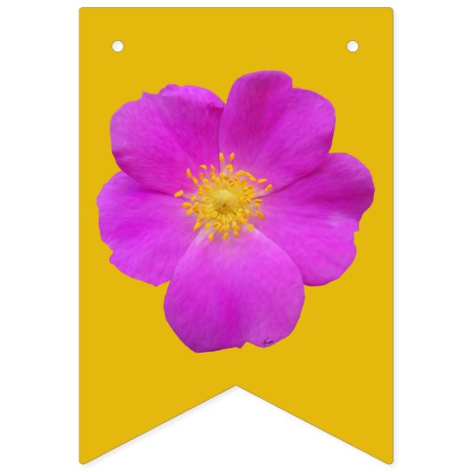 Colorado-Wildblumen Wimpelkette (Zweite Fahne)