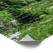 Colorado Wilderness // Phantastische Friedliche La Poster (Ecke)