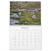Colorado Wildlife Calendar Kalender (Mär 2027)