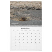 Colorado Wildlife Calendar Kalender (Feb 2027)
