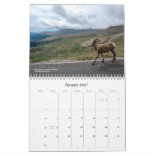 Colorado Wildlife Calendar Kalender (Jan 2027)