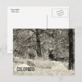 Colorado Wildlife Postkarte (Vorne/Hinten)