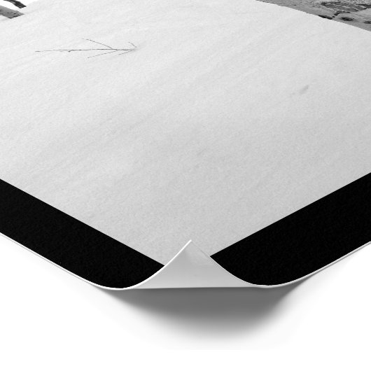 Colorado Winter Aspen Tree Poster (Ecke)